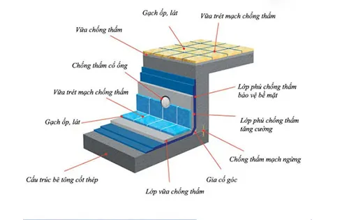 cấu tạo bể bơi
