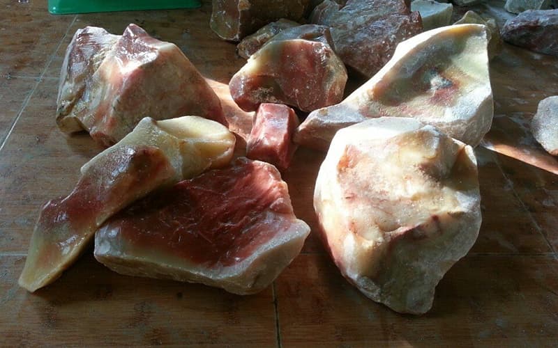 đá trầm tích hữu cỏ