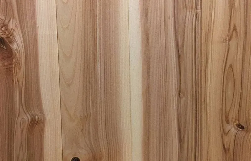 european ash