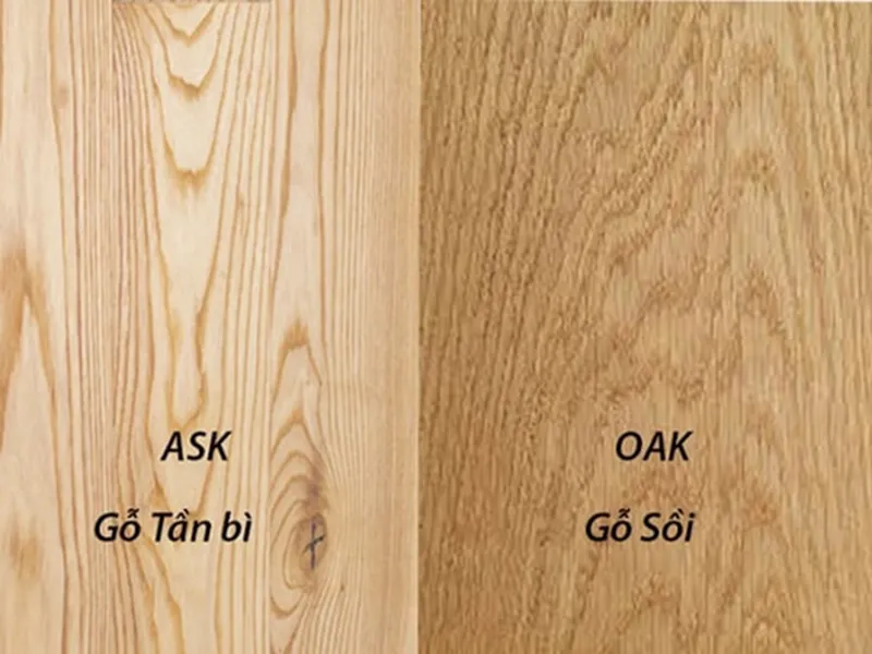 so sánh gỗ sồi và gỗ tần bì