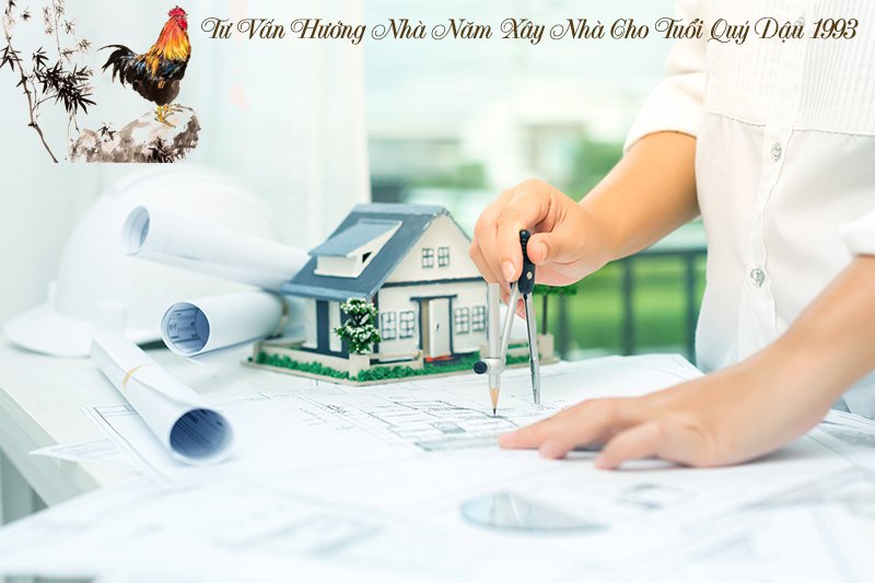 1993 Hợp hướng nào