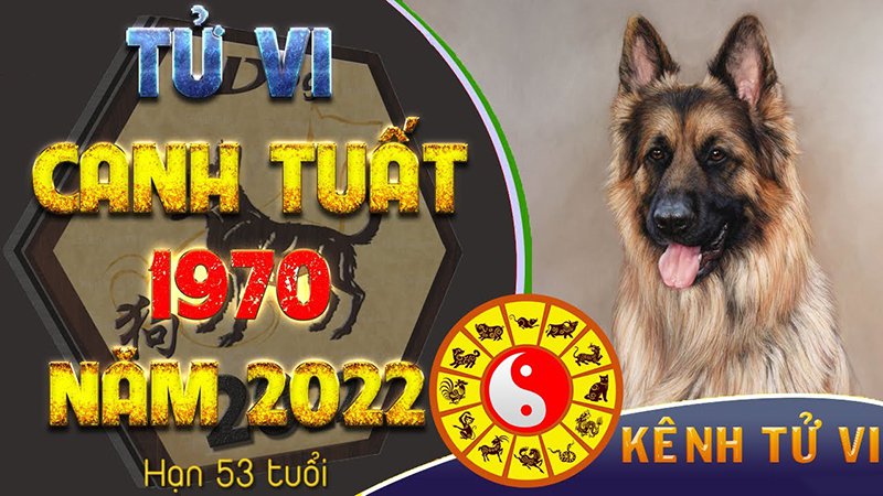 Canh tuất 1970 hợp hướng nào