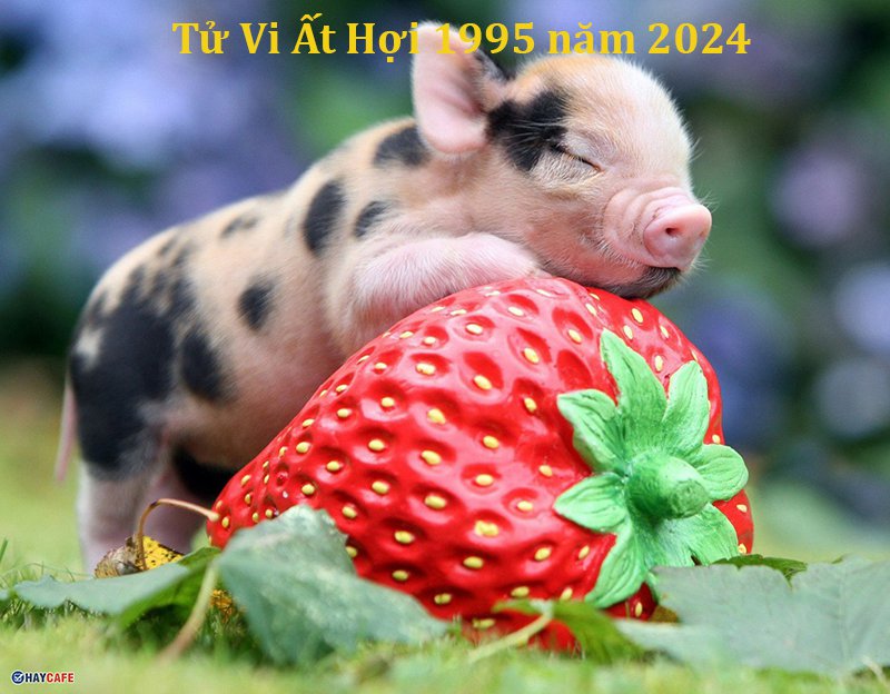 xem tử vi ất hợi trong năm 2024