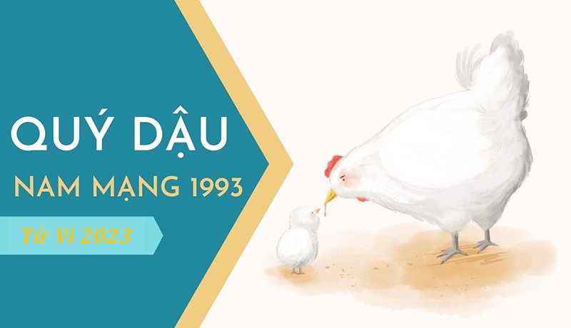xem tử vi tuổi Quý Dậu năm 2024